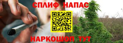 мяу мяу мука Кунгур