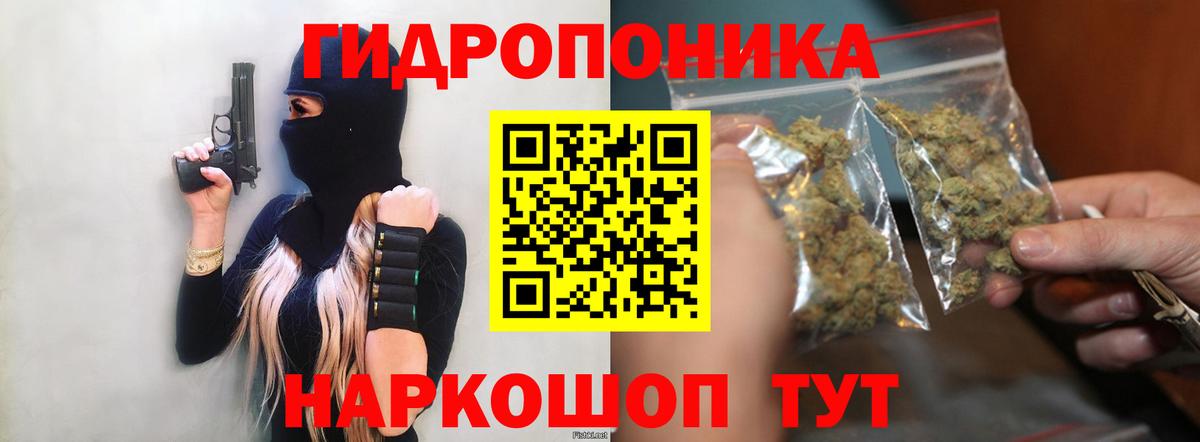 Ижевск  Бошки марихуана VHQ  Шишки марихуана марихуана  Марихуана тримм  Вход с VPN 